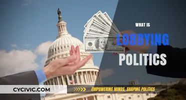 Understanding Lobbying: How Special Interests Shape Political Decisions