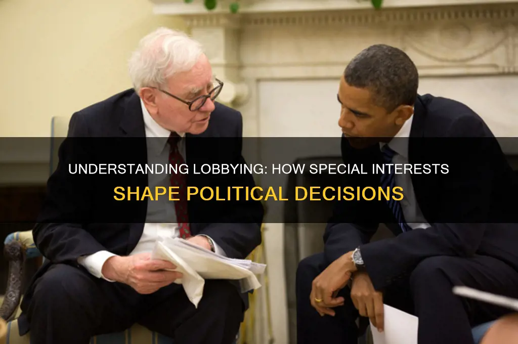 what is lobbying politics