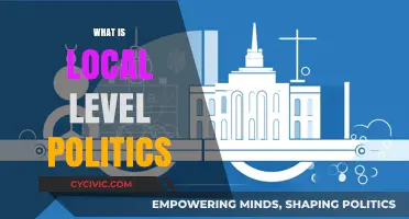 Understanding Local Politics: Power, Policies, and Community Impact Explained