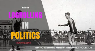 Understanding Logrolling: Political Bargaining and Its Impact on Legislation