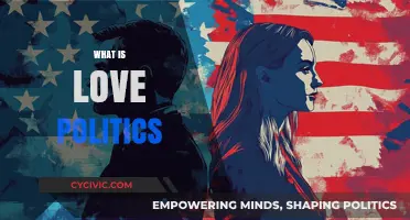 Understanding Love Politics: Power, Emotion, and Social Dynamics Explained