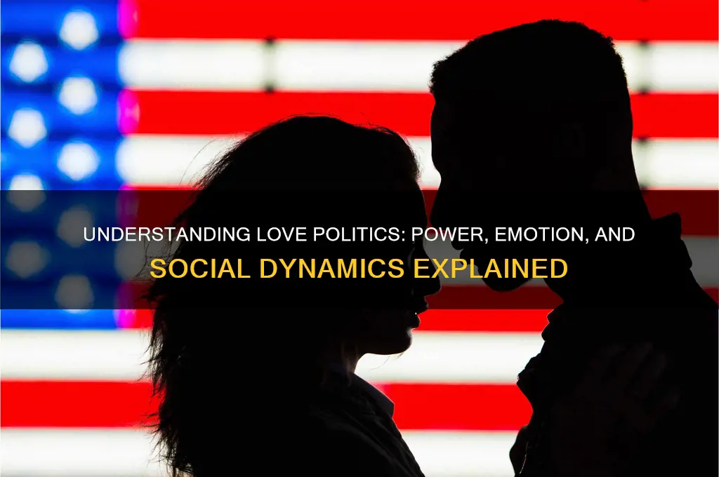 what is love politics
