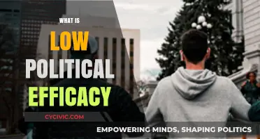 Understanding Low Political Efficacy: Causes, Impact, and Solutions
