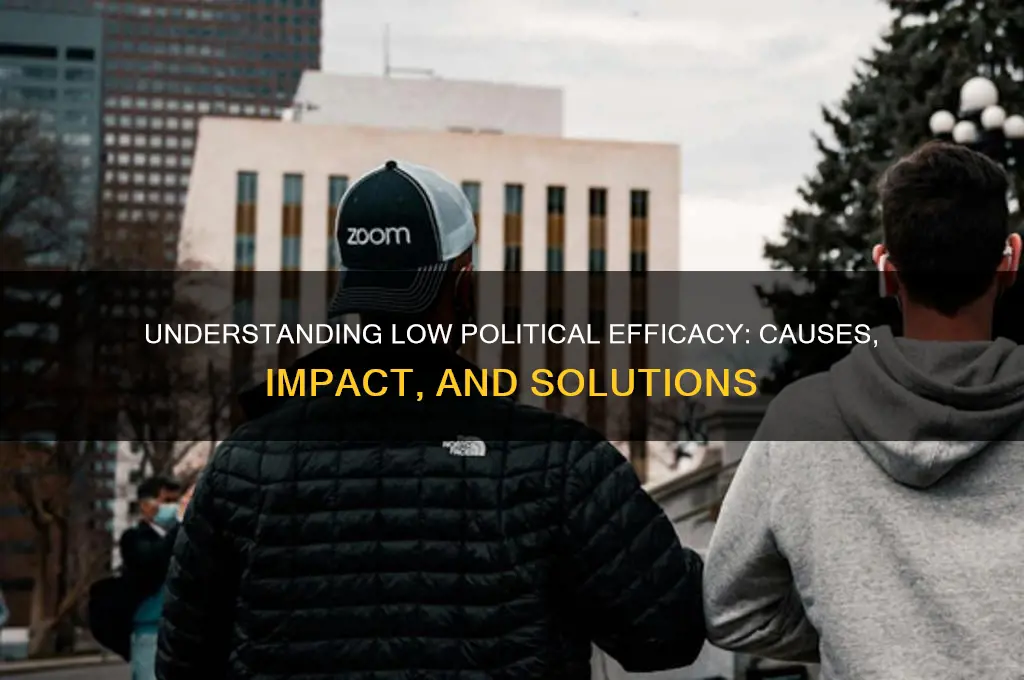 what is low political efficacy