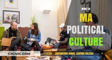Understanding MA Political Culture: Values, Beliefs, and Civic Engagement Explained
