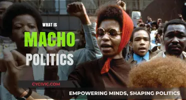 Understanding Macho Politics: Power, Masculinity, and Its Global Impact