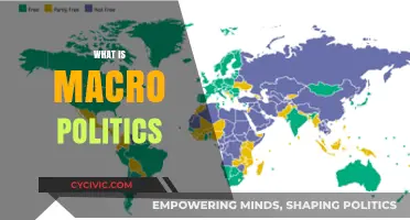 Understanding Macro Politics: A Comprehensive Guide to Global Political Systems