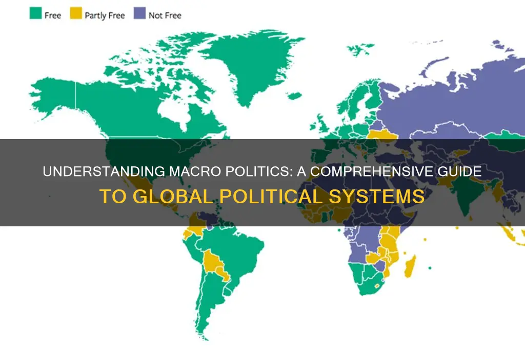 what is macro politics