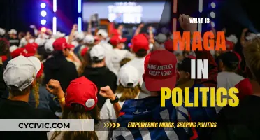 Understanding MAGA: Decoding Trump's Political Movement and Its Impact