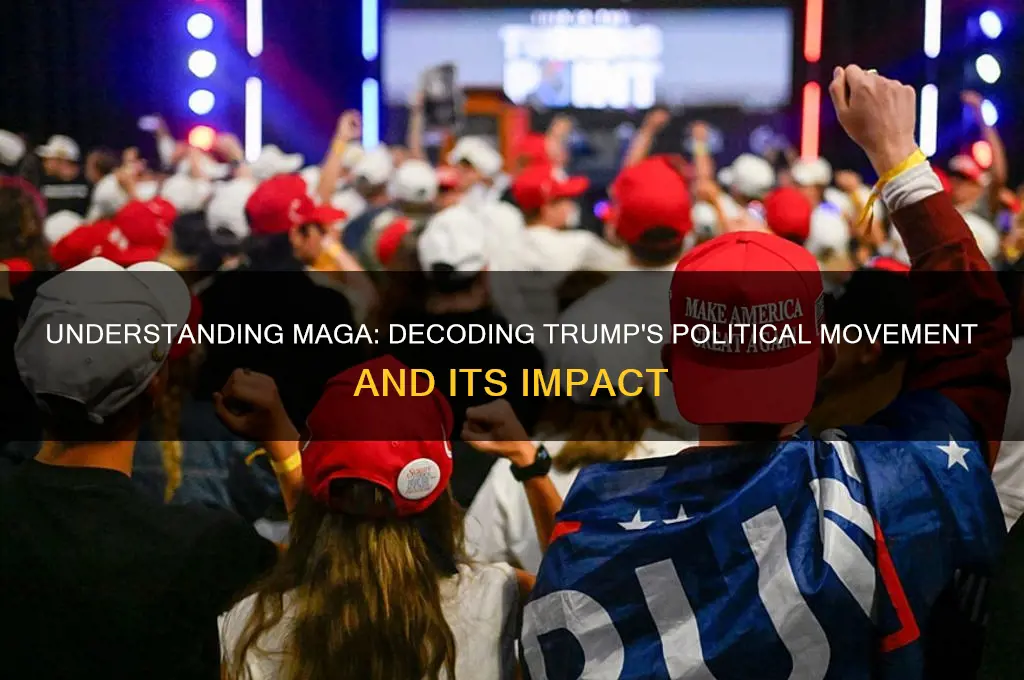 what is maga in politics