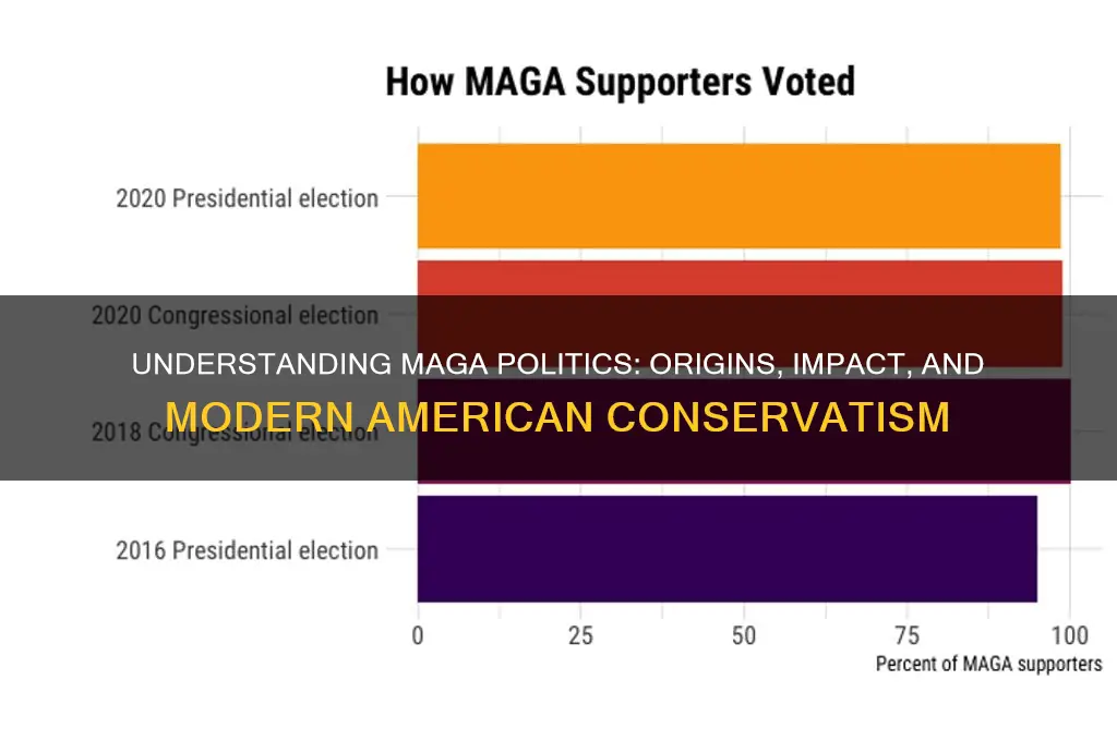 what is maga politics