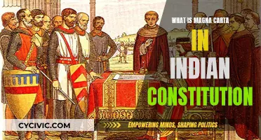 Magna Carta Influence on India's Constitution