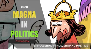 Understanding Magna Carta's Influence on Modern Political Systems