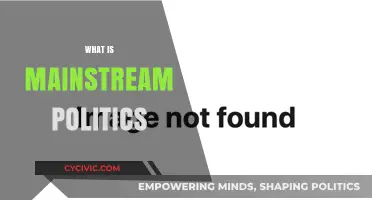 Understanding Mainstream Politics: Core Principles, Influence, and Societal Impact