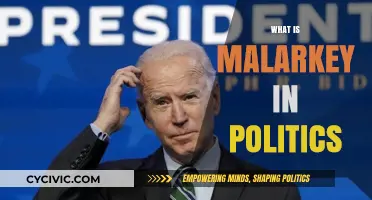 Understanding Malarkey: Decoding Political Nonsense and Its Impact on Democracy