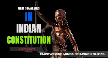 Understanding Mandamus: An Indian Constitutional Perspective