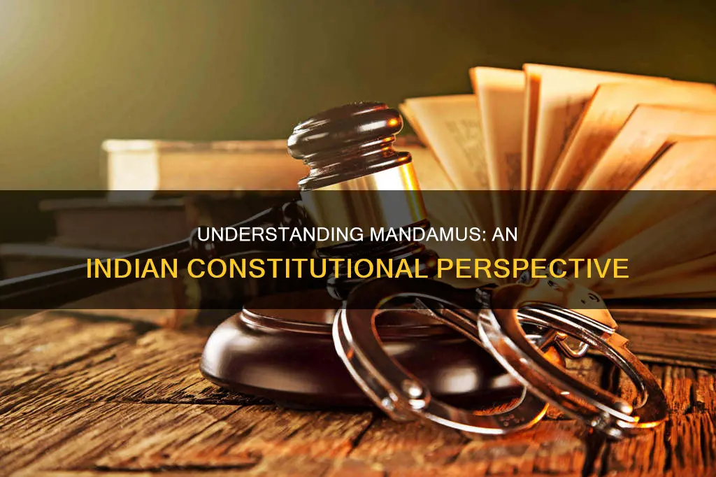 what is mandamus in indian constitution