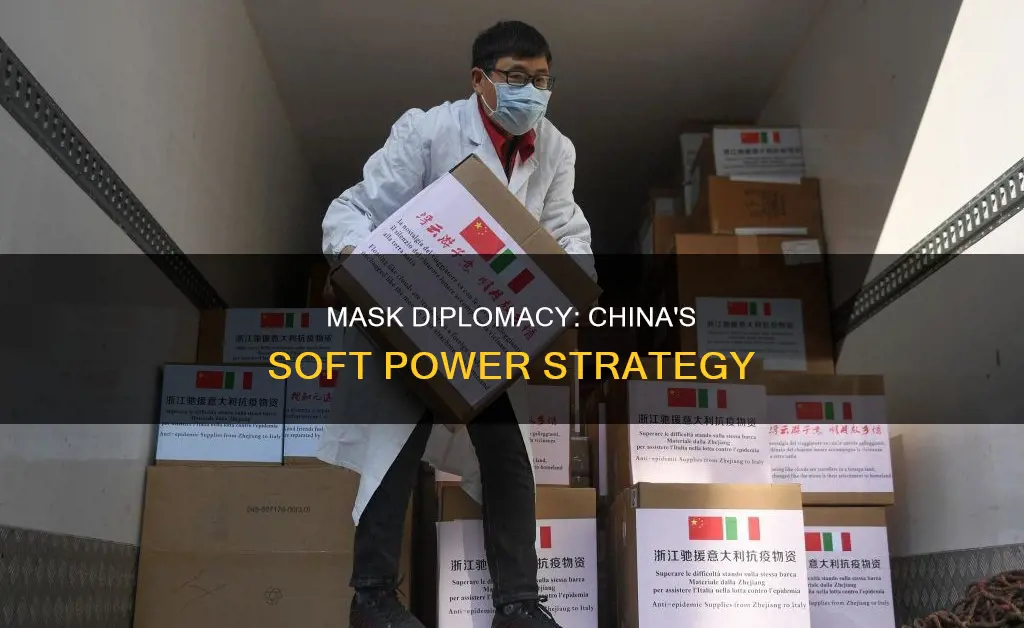 what is mask diplomacy