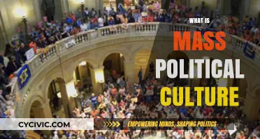 Understanding Mass Political Culture: Shaping Societies and Governance Dynamics