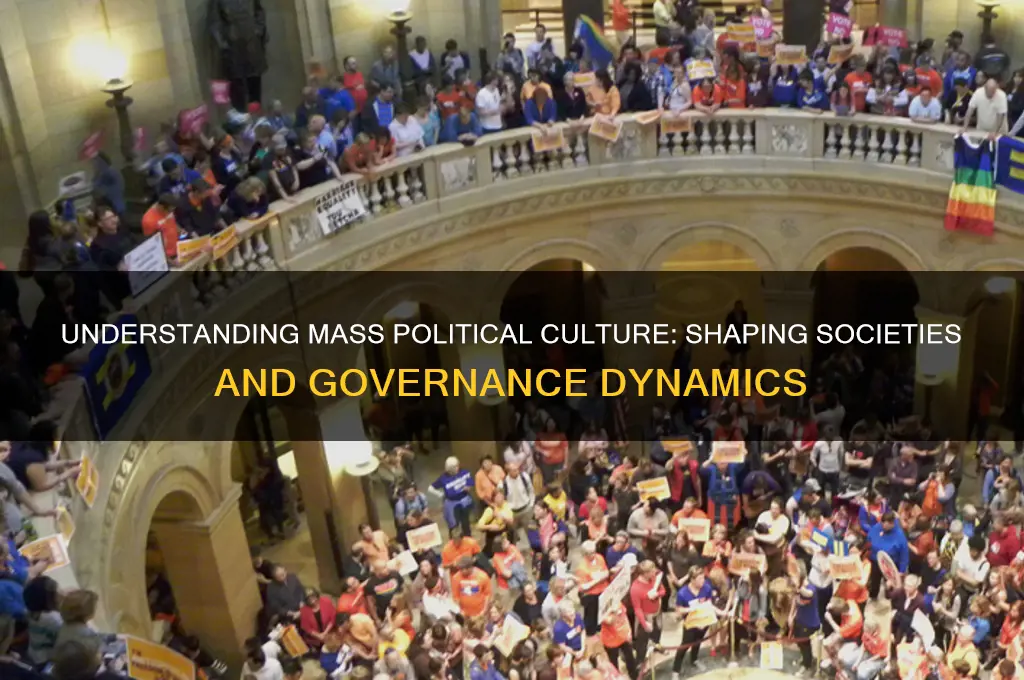 what is mass political culture