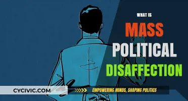 Understanding Mass Political Disaffection: Causes, Consequences, and Global Implications