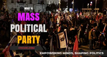 Understanding Mass Political Parties: Structure, Influence, and Role in Democracy