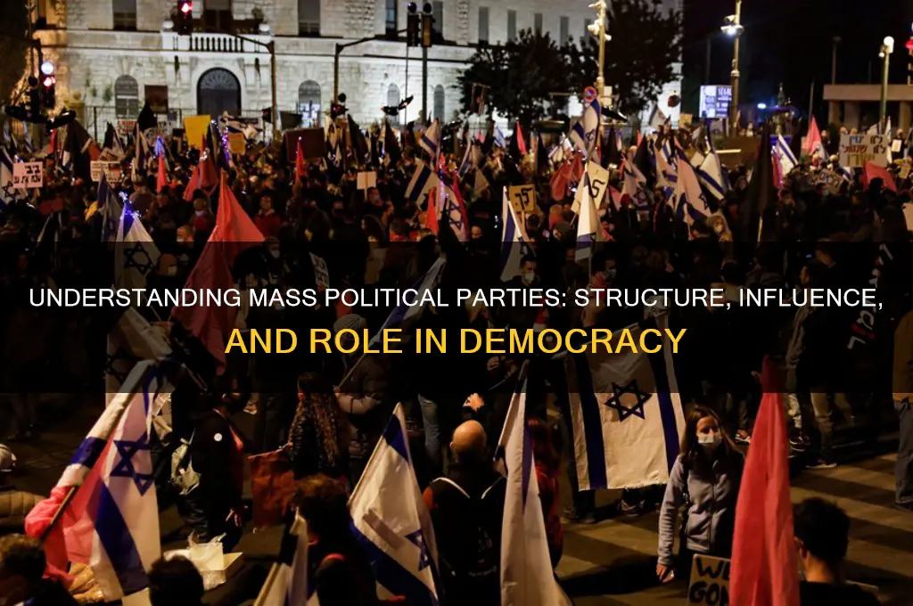 what is mass political party