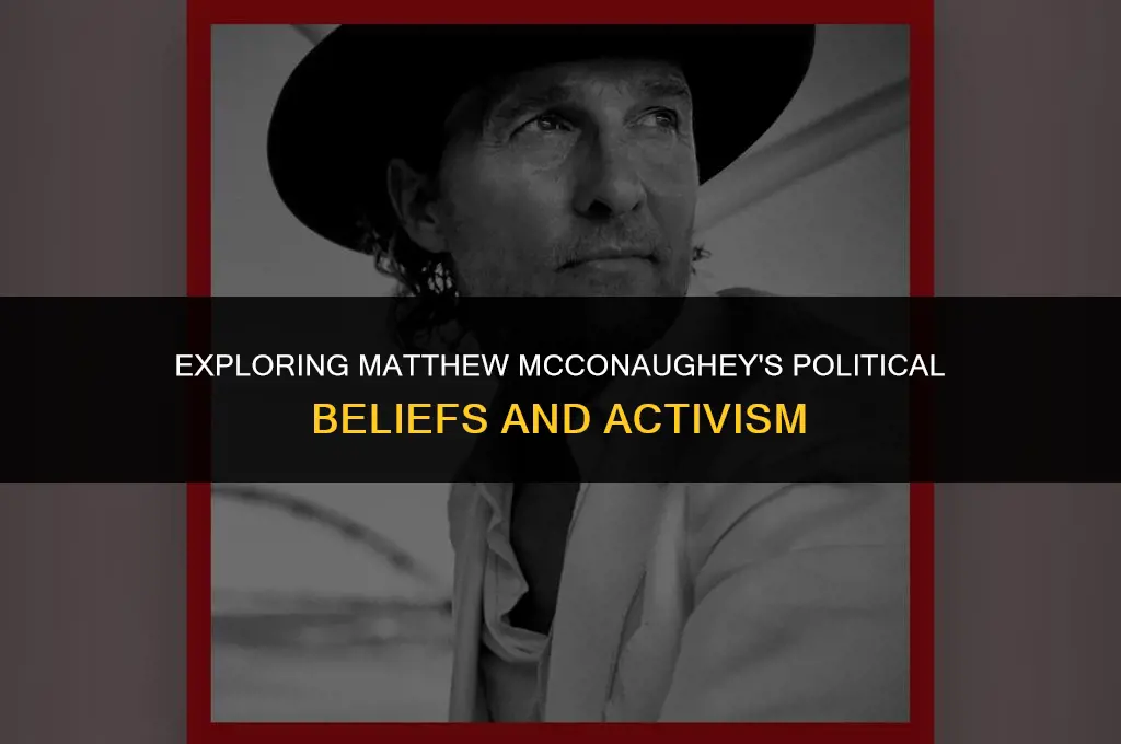 what is matthew mcconaughey political views