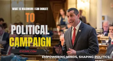 Donation Limit to Political Campaigns: Know Your Maximum