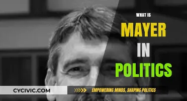 Understanding Mayer: Role, Influence, and Impact in Political Leadership