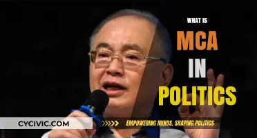 Understanding the Role and Impact of MCA in Political Systems