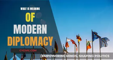 The Evolution of Diplomacy: Understanding Modern Practice