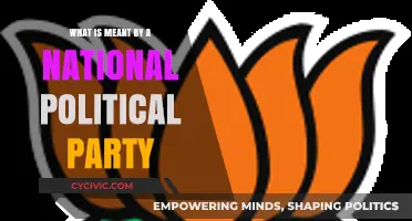Understanding National Political Parties: Definition, Role, and Significance Explained