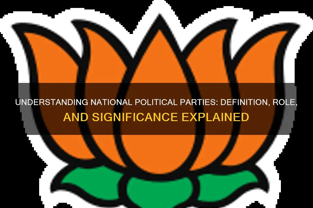 what is meant by a national political party