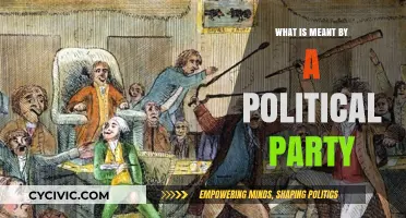 Understanding Political Parties: Their Role, Structure, and Influence in Democracy