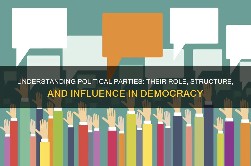 what is meant by a political party