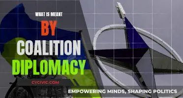 Coalition Diplomacy: Working Together for Global Solutions