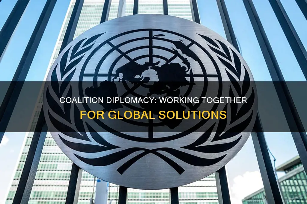 what is meant by coalition diplomacy