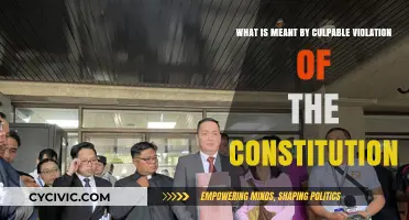 Violation of the Constitution: Culpable or Not?