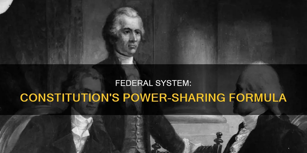 what is meant by federal system of constitution