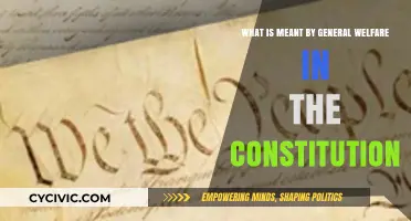 General Welfare Clause: What Does It Mean?