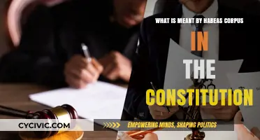 Understanding Habeas Corpus: Your Right to Liberty