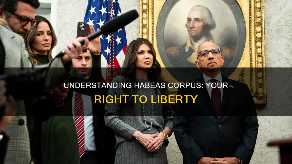 what is meant by habeas corpus in the constitution
