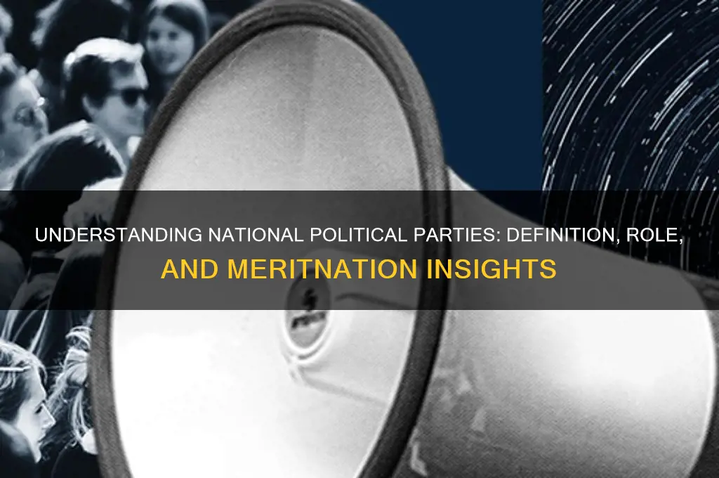 what is meant by national political party meritnation
