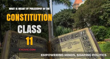 The Philosophy of India's Constitution: Understanding the Basics