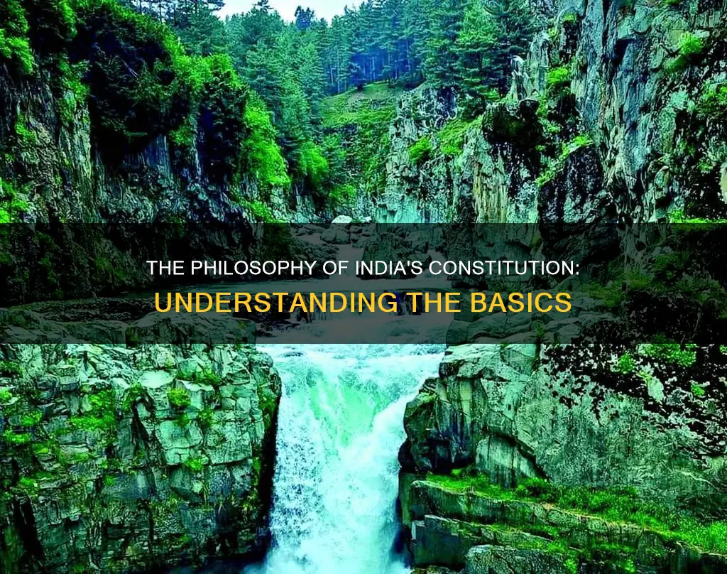 what is meant by philosophy of the constitution class 11