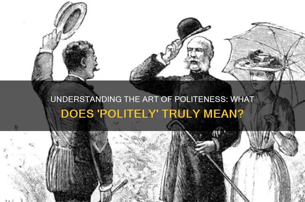 what is meant by politely