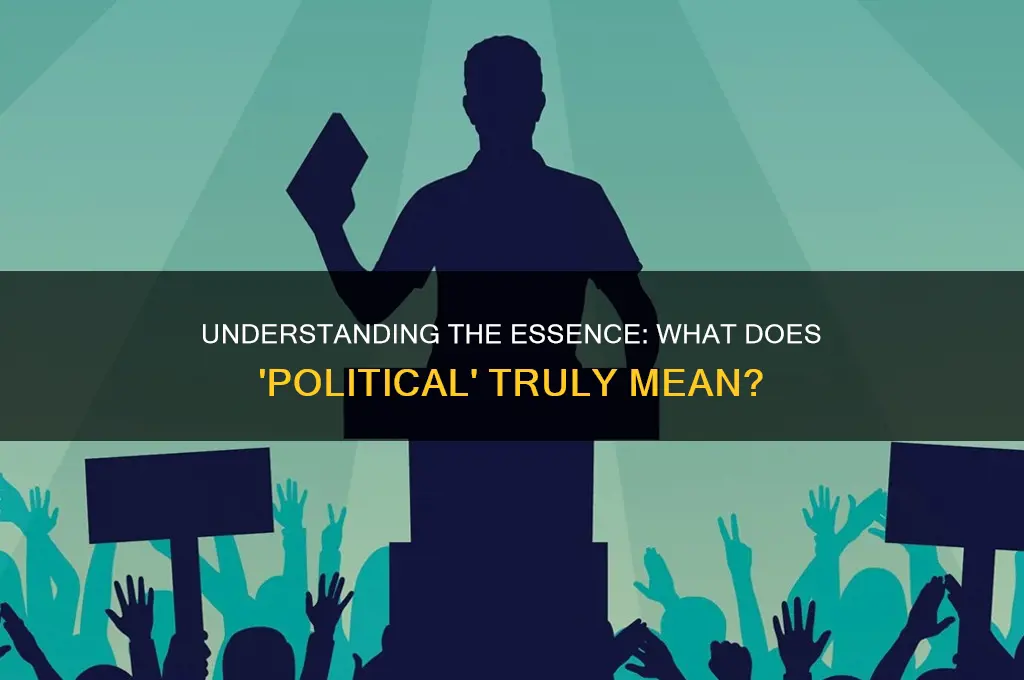 what is meant by political
