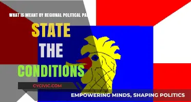 Understanding Regional Political Parties: Conditions and Definitions Explained