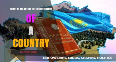 Understanding a Country's Constitution: Definition and Significance